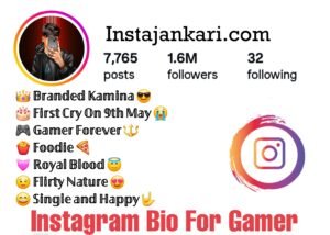 Read more about the article 200+ Instagram Bio For Gamers – गेमर्स के लिए धांसू इंस्टाग्राम बायो
