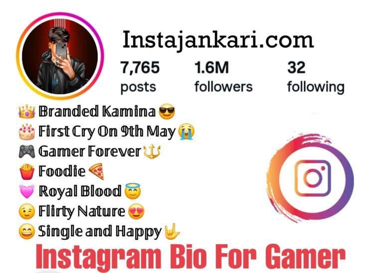 Instagram Bio For Gamers - गेमर्स के लिए धांसू इंस्टाग्राम बायो
