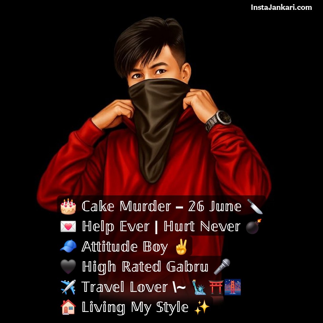 Instagram Bio for Boys Attitude
